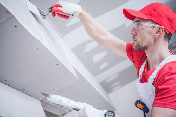 Best Drywall Sanding and Smoothing  in Vivian, LA